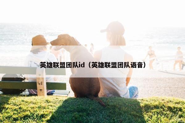 英雄联盟团队id（英雄联盟团队语音）