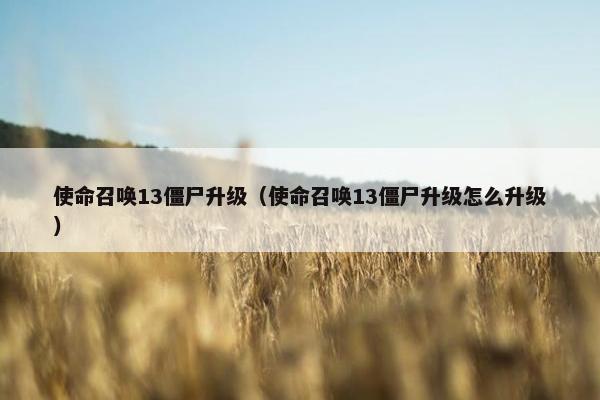 使命召唤13僵尸升级（使命召唤13僵尸升级怎么升级）