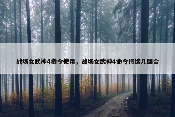 战场女武神4指令使用，战场女武神4命令持续几回合