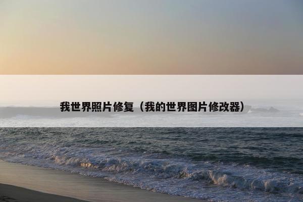 我世界照片修复（我的世界图片修改器）