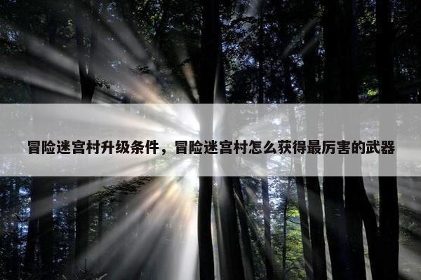 冒险迷宫村升级条件，冒险迷宫村怎么获得最厉害的武器