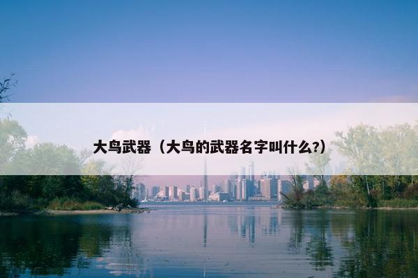 大鸟武器（大鸟的武器名字叫什么?）