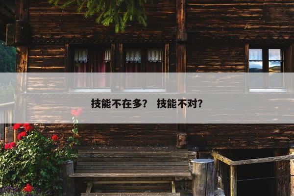 技能不在多？ 技能不对？