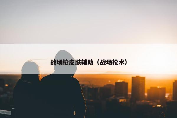 战场枪皮肤辅助（战场枪术）