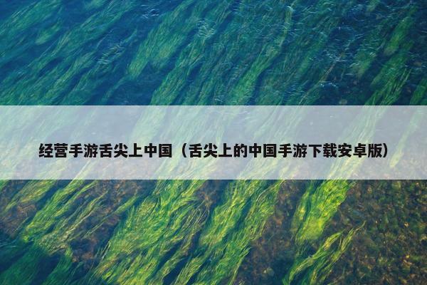 经营手游舌尖上中国（舌尖上的中国手游下载安卓版）