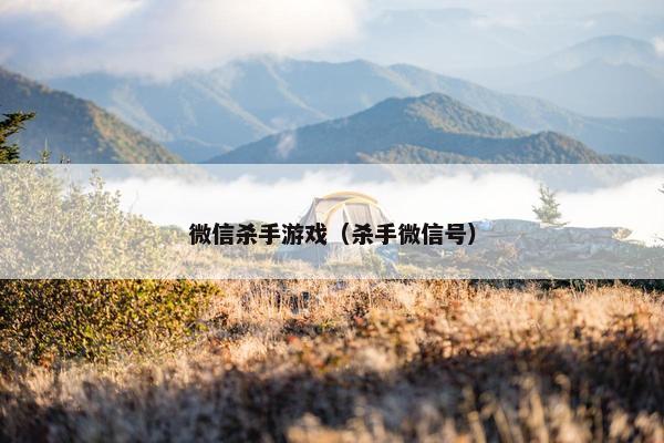 微信杀手游戏（杀手微信号）