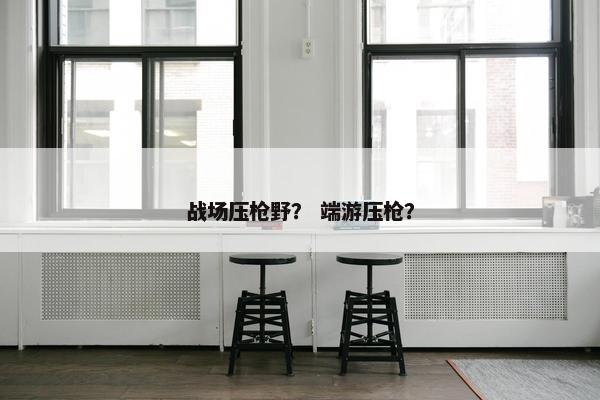 战场压枪野？ 端游压枪？