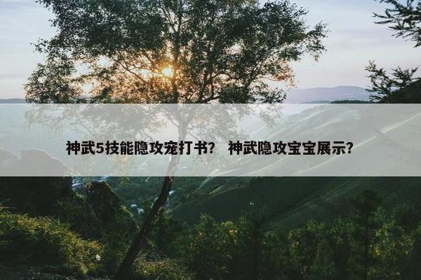神武5技能隐攻宠打书？ 神武隐攻宝宝展示？