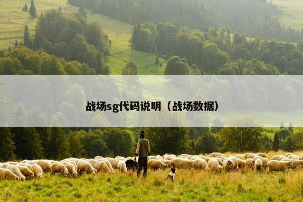 战场sg代码说明（战场数据）