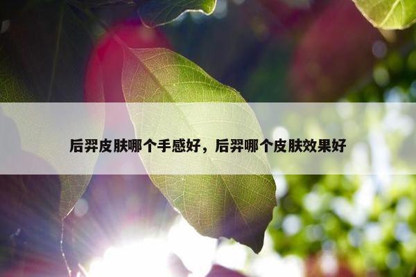 后羿皮肤哪个手感好，后羿哪个皮肤效果好
