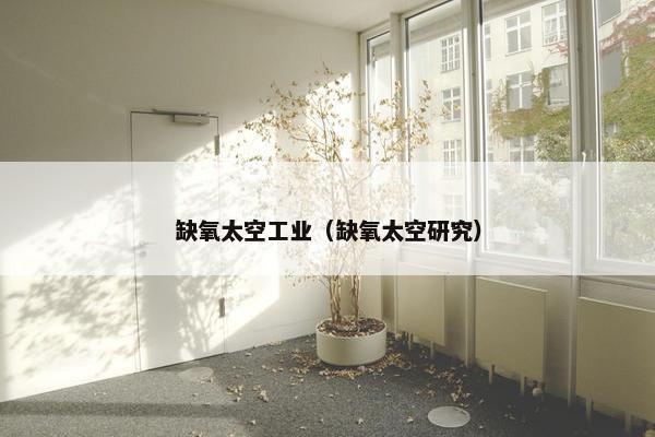 缺氧太空工业（缺氧太空研究）