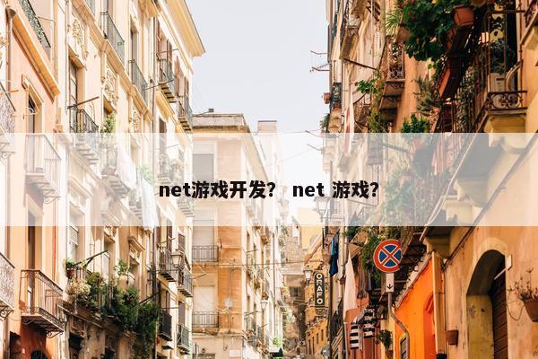 net游戏开发？ net 游戏？
