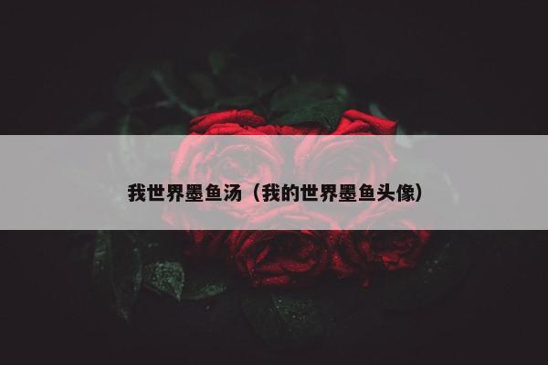 我世界墨鱼汤（我的世界墨鱼头像）