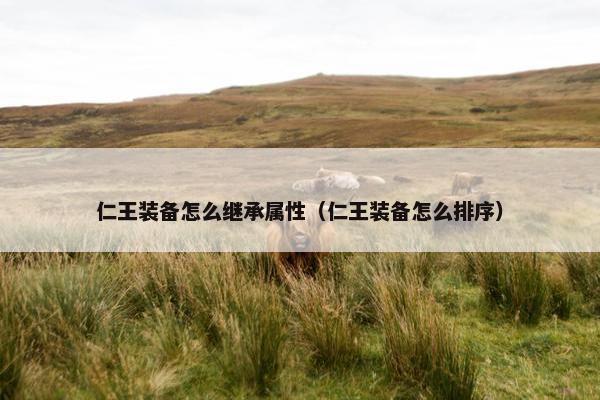 仁王装备怎么继承属性（仁王装备怎么排序）