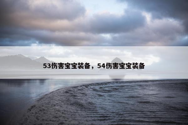 53伤害宝宝装备，54伤害宝宝装备