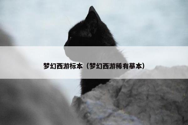梦幻西游标本（梦幻西游稀有摹本）