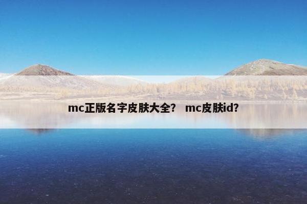 mc正版名字皮肤大全？ mc皮肤id？