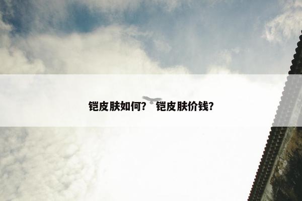 铠皮肤如何？ 铠皮肤价钱？
