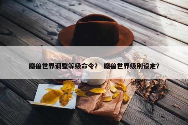 魔兽世界调整等级命令？ 魔兽世界级别设定？