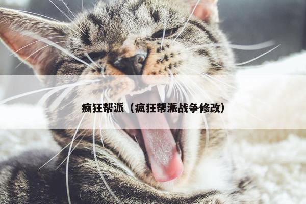 疯狂帮派（疯狂帮派战争修改）