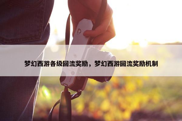 梦幻西游各级回流奖励，梦幻西游回流奖励机制