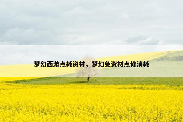 梦幻西游点耗资材，梦幻免资材点修消耗