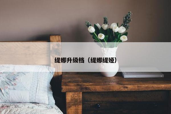 缇娜升级档（缇娜缇娅）