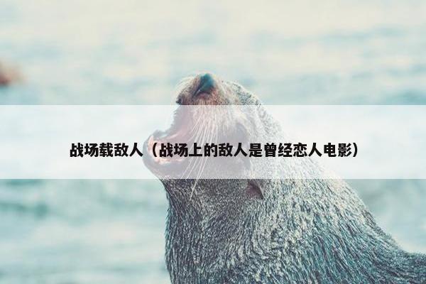 战场载敌人（战场上的敌人是曾经恋人电影）