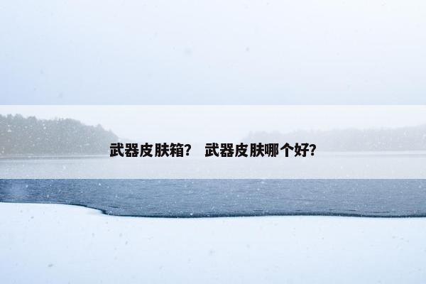 武器皮肤箱？ 武器皮肤哪个好？