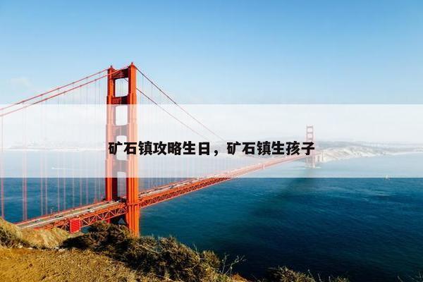 矿石镇攻略生日，矿石镇生孩子