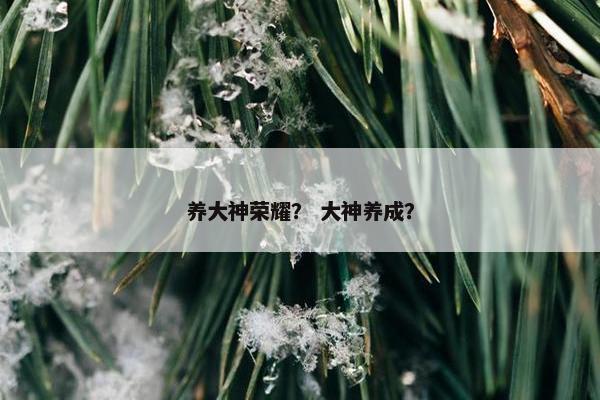 养大神荣耀？ 大神养成？