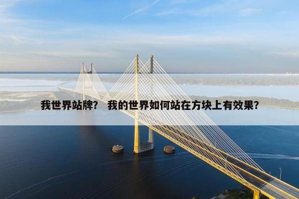 我世界站牌？ 我的世界如何站在方块上有效果？