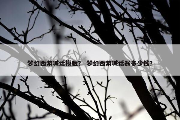 梦幻西游喊话模版？ 梦幻西游喊话器多少钱？