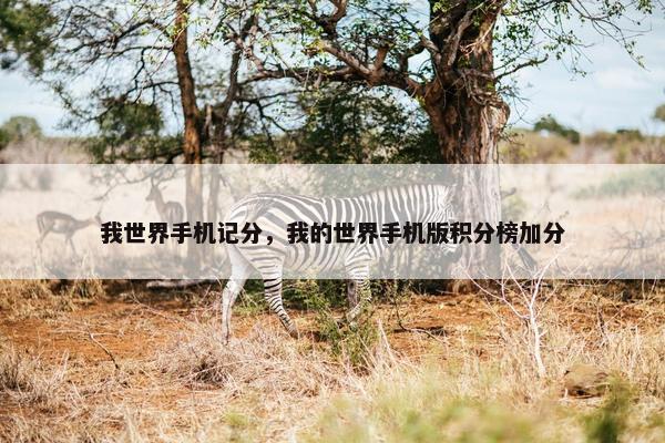 我世界手机记分，我的世界手机版积分榜加分