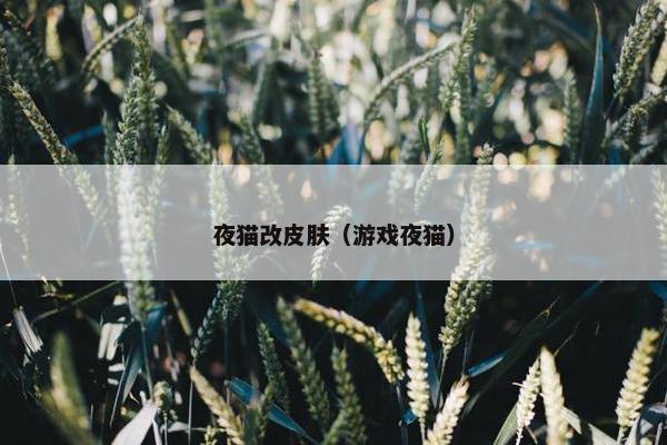 夜猫改皮肤（游戏夜猫）