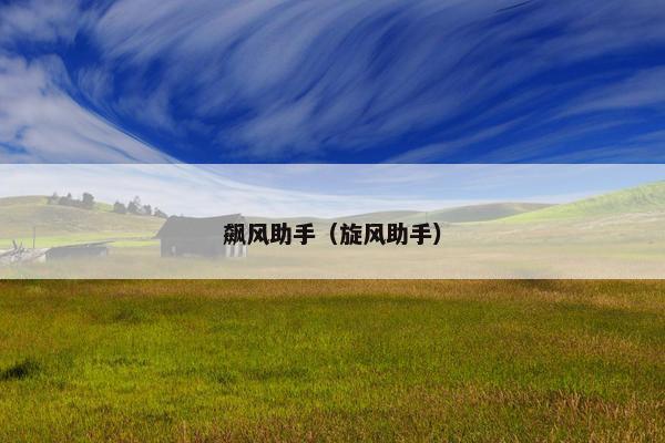 飙风助手（旋风助手）
