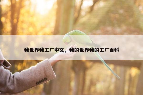 我世界我工厂中文，我的世界我的工厂百科