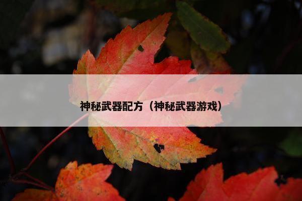 神秘武器配方（神秘武器游戏）