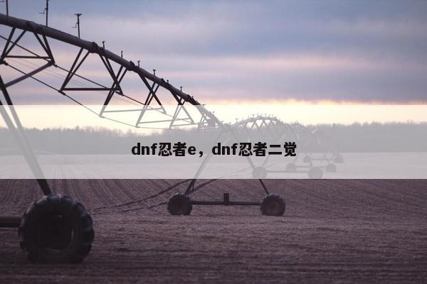 dnf忍者e，dnf忍者二觉