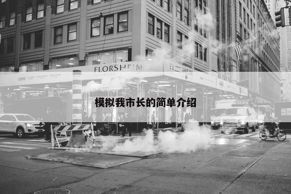 模拟我市长的简单介绍