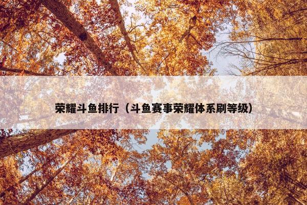 荣耀斗鱼排行（斗鱼赛事荣耀体系刷等级）