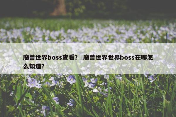 魔兽世界boss查看？ 魔兽世界世界boss在哪怎么知道？
