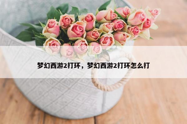 梦幻西游2打环，梦幻西游2打环怎么打