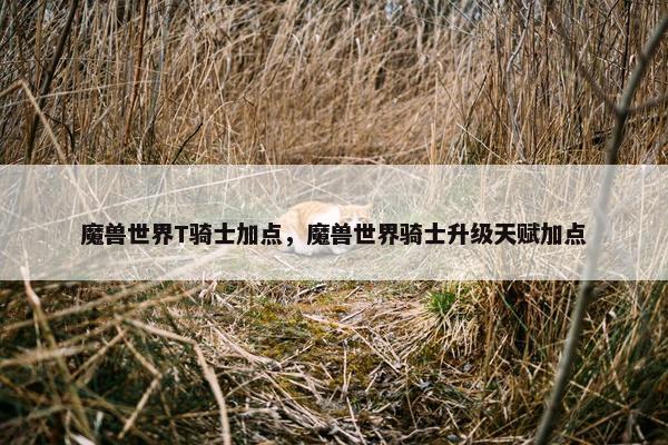 魔兽世界T骑士加点，魔兽世界骑士升级天赋加点