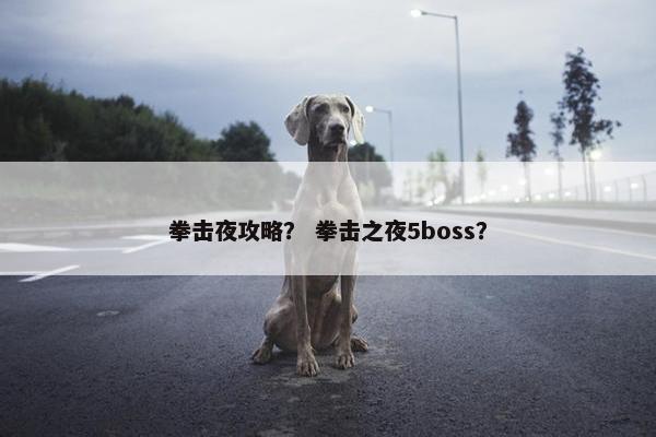 拳击夜攻略？ 拳击之夜5boss？