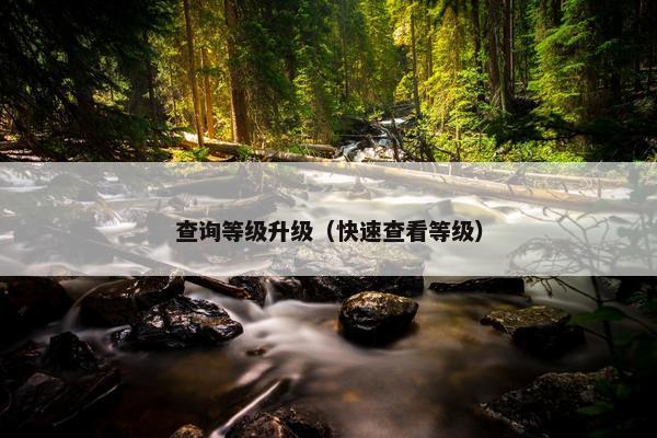 查询等级升级（快速查看等级）