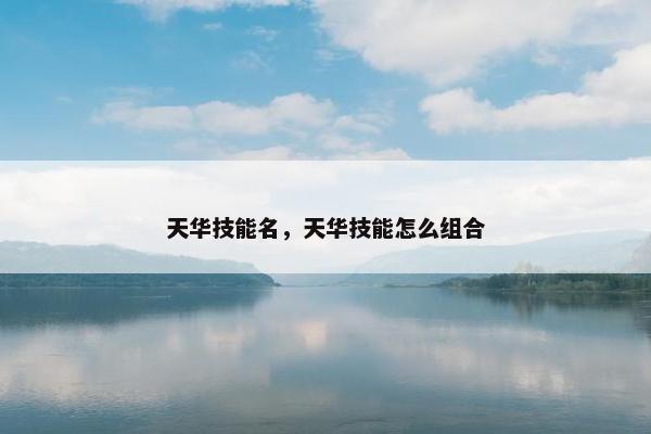 天华技能名，天华技能怎么组合