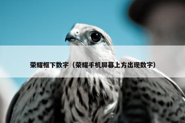 荣耀框下数字（荣耀手机屏幕上方出现数字）