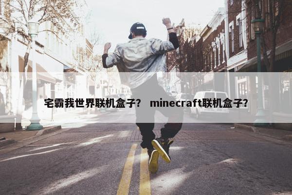 宅霸我世界联机盒子？ minecraft联机盒子？