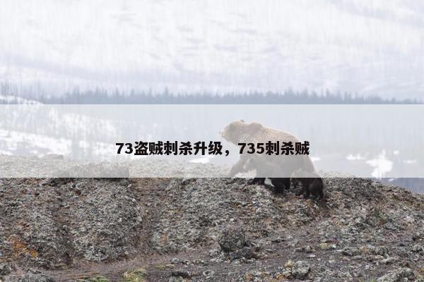 73盗贼刺杀升级，735刺杀贼